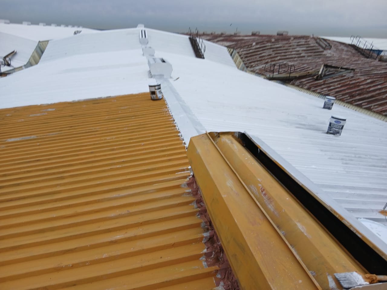 WhatsApp Image 2026-03-09 at 09.10.52